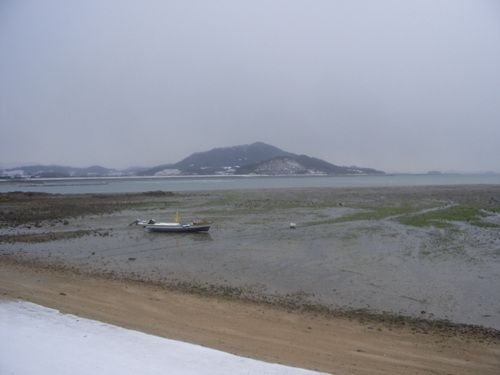 호텔앞 갯벌